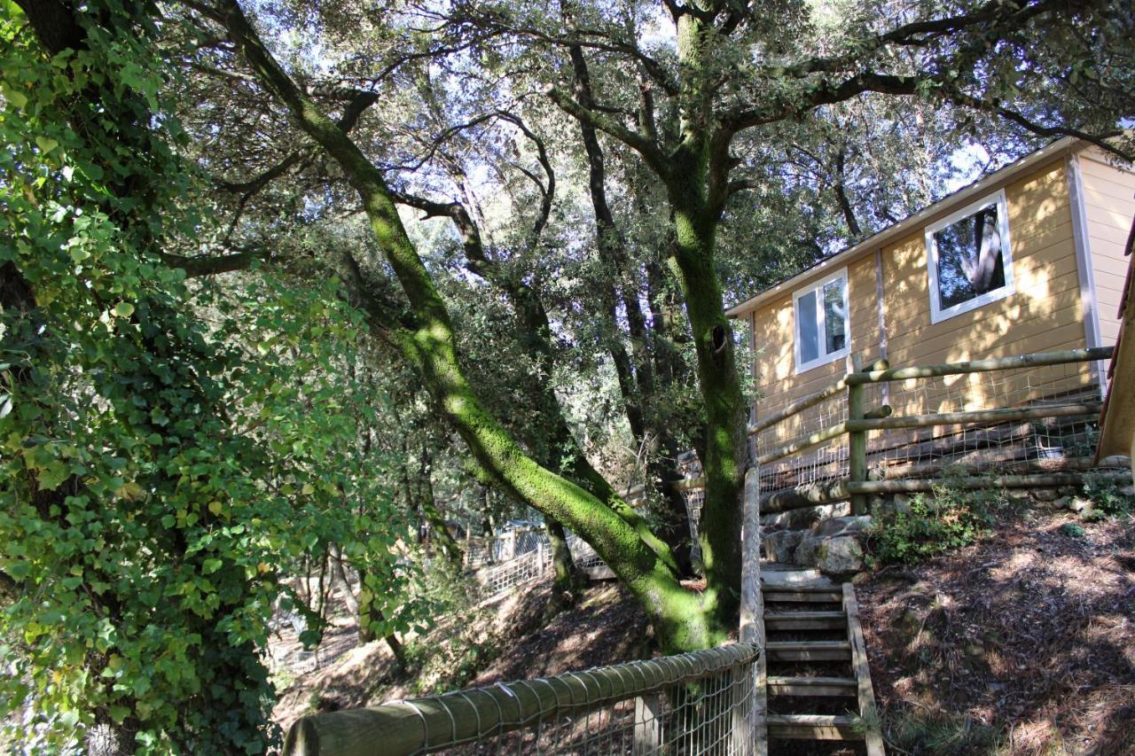 Le Domaine Du Naizadou Chalet Lou Grilh Villa La Barriere Exterior photo